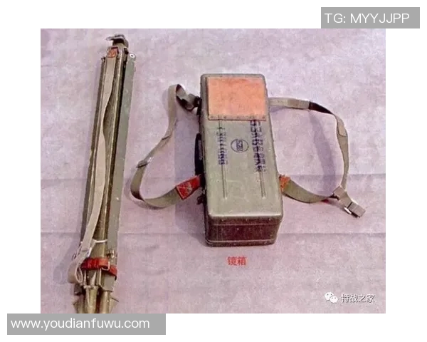 成都飞盘队的边路渗透战术解析与实战应用深度剖析 成都飞盘队的边路渗透战术解析与实战应用深度剖析