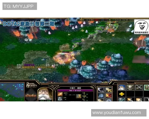 杨强独家揭秘DOTA2游戏策略与心得分享助你提升竞技水平