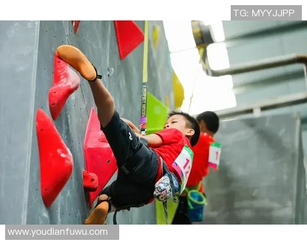 武汉攀岩队勇攀高峰马拉松大满贯背后的奋斗与坚持