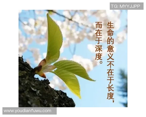 水户蜀葵与心灵的交汇探讨生命的意义与自然的和谐 水户蜀葵与心灵的交汇探讨生命的意义与自然的和谐