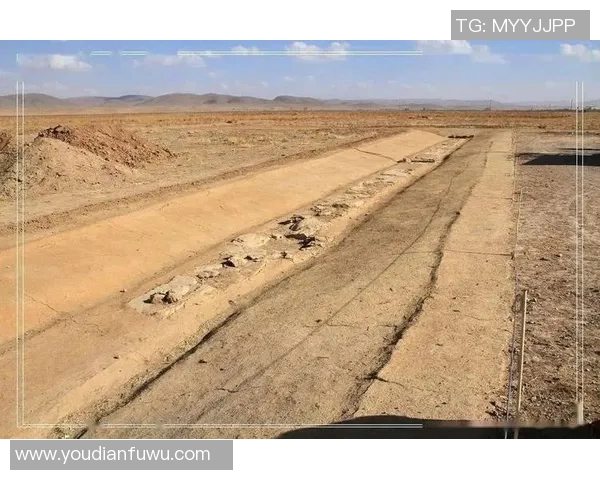 沙迦与波斯波利斯的巅峰对决揭示足球战术与团队精神的较量